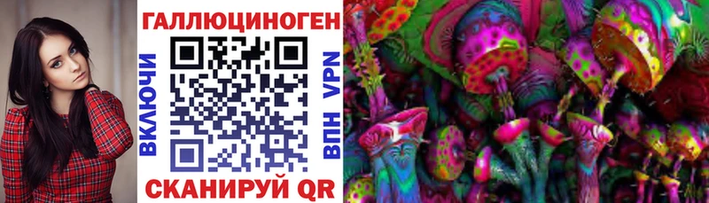 закладка  Лысково  Галлюциногенные грибы GOLDEN TEACHER 
